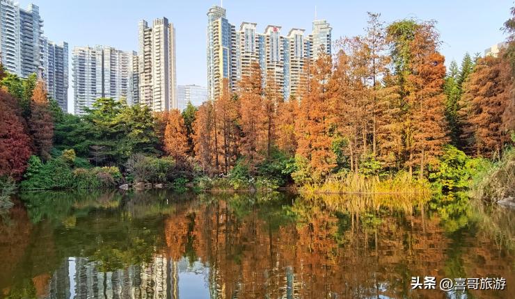 广州天河区旅游全攻略,广东广州天河区旅游攻略