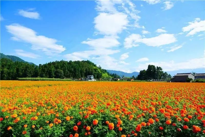 有一种生活叫做云南的生活,有一种叫云南的生活原文