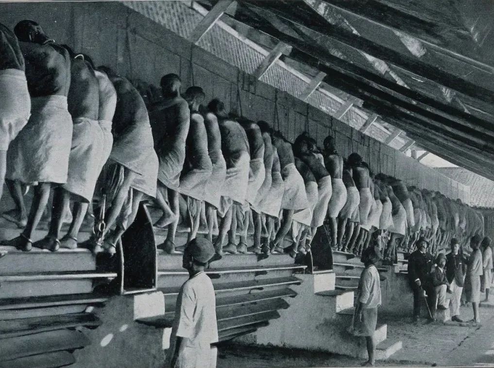 令人难以置信的20个事实,最难以置信的15个事实