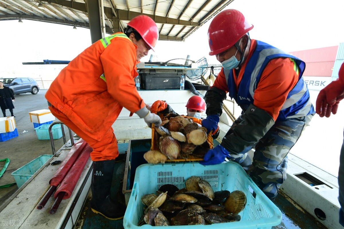日本的海鲜会不会偷偷进入中国,日本海鲜进入中国市场了吗