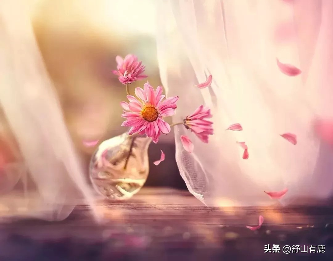 人无常态必有鬼是什么意思,人无常态事出反常必为妖下一句