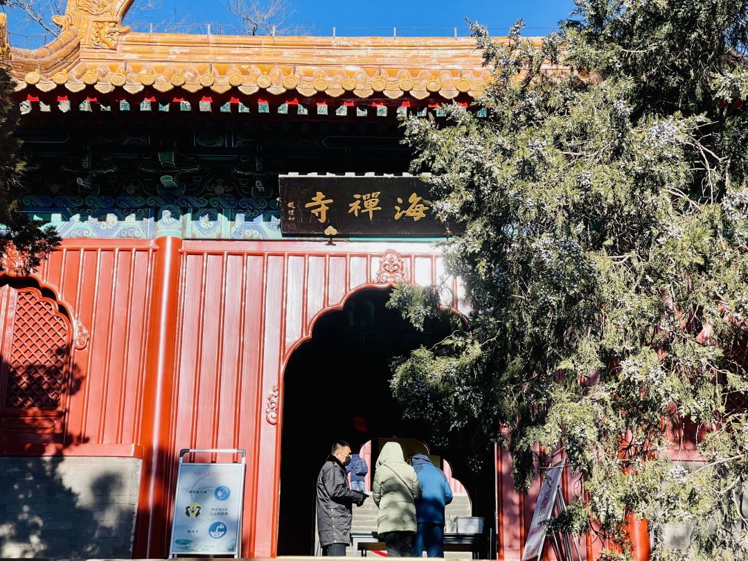 太监晚年的样子,太监晚年要做什么