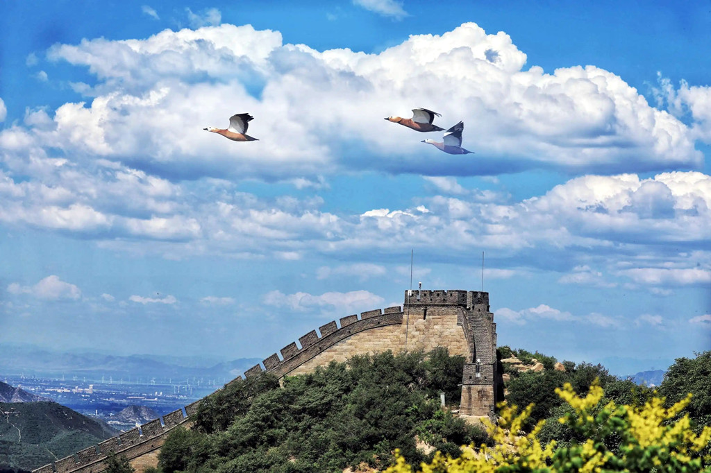 互相勉励共同进步的诗句,互相扶持互相学习互相成长