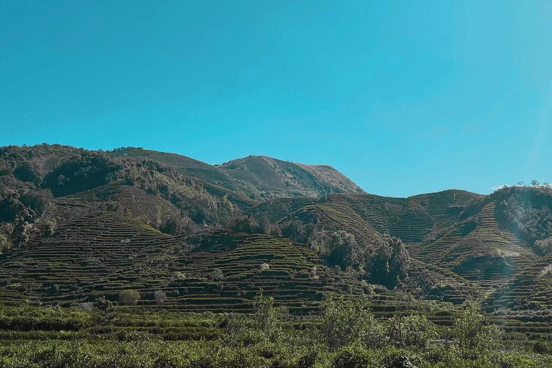 我被入坑了,也给各位科普一下吧