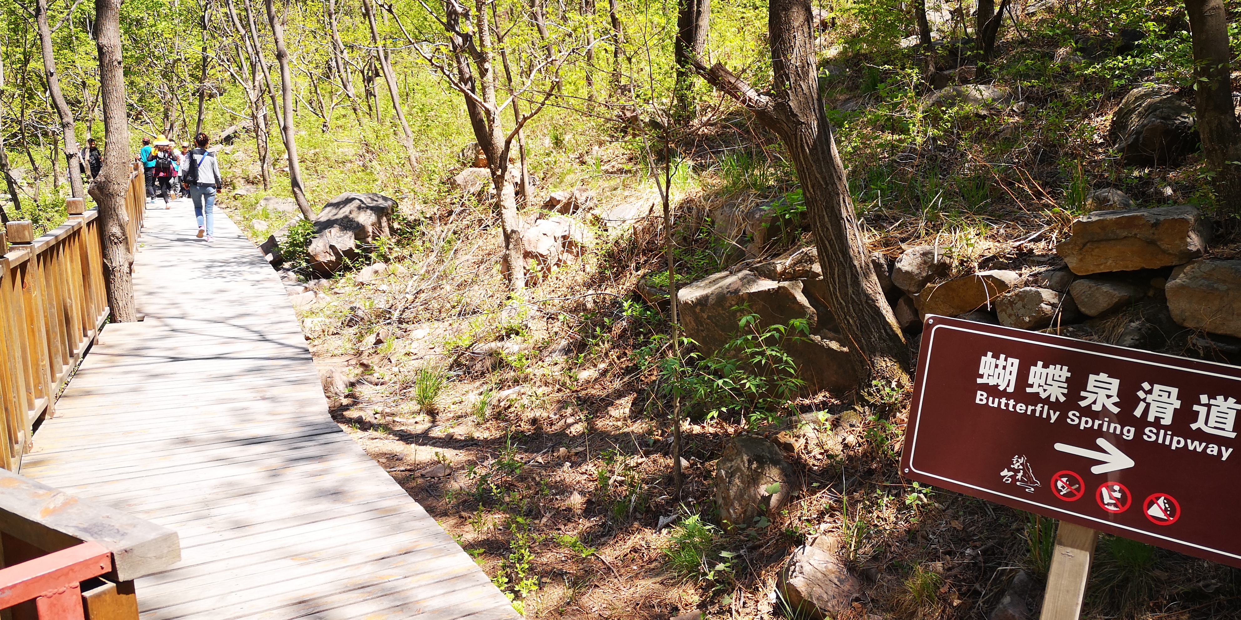 天津梨木台景区值得夏天去的地方,天津蓟县梨木台风景区路线