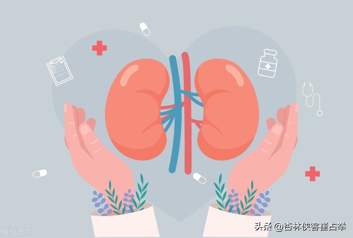 补阳最强的药材,补阳虚的最好的一味中药