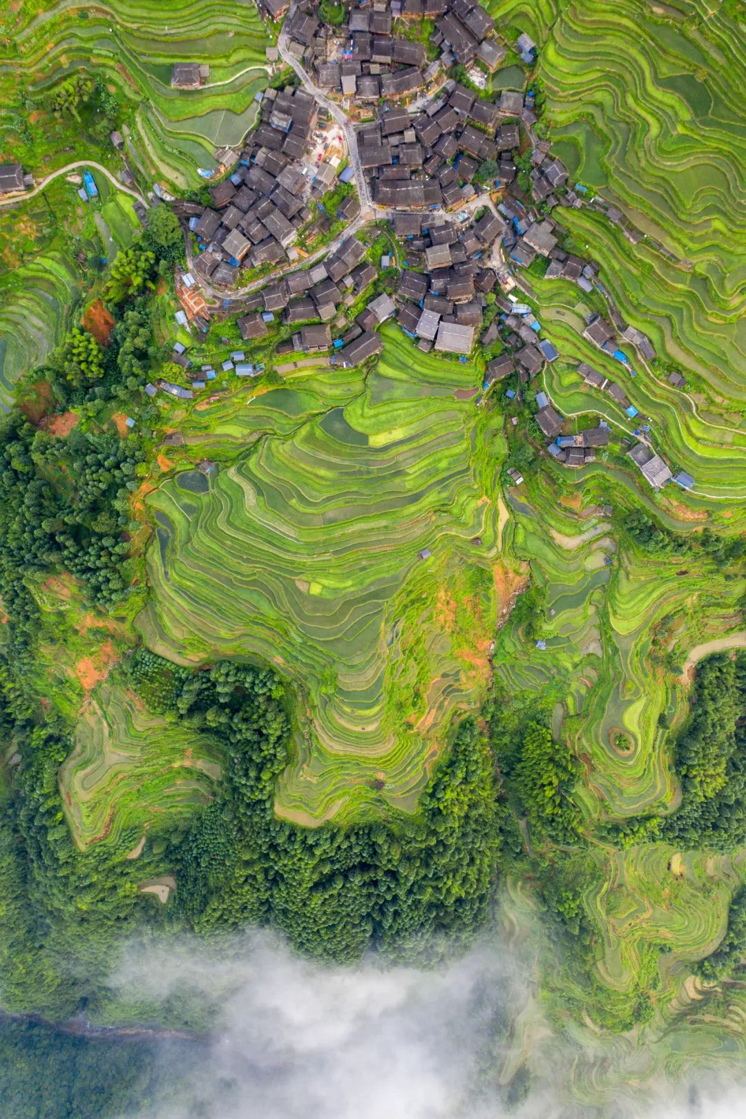 如何看懂中国第一山地省的多彩文化史诗？