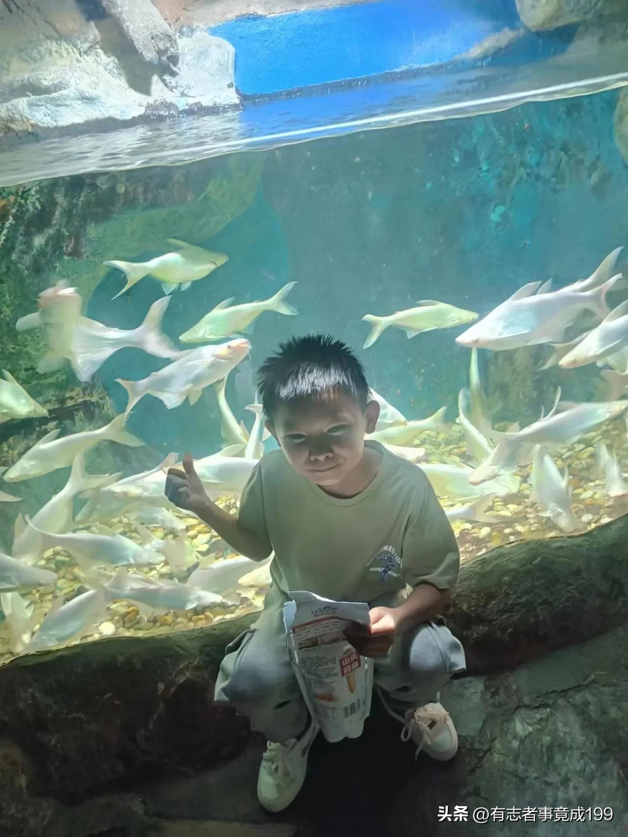 在西安去海洋馆,西安海底世界海洋馆