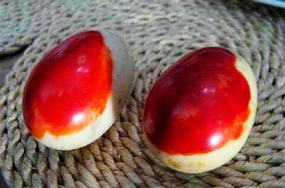 老农上山挖笋挖到血鸡蛋,农妇在后山发现野生的竹笋直接挖