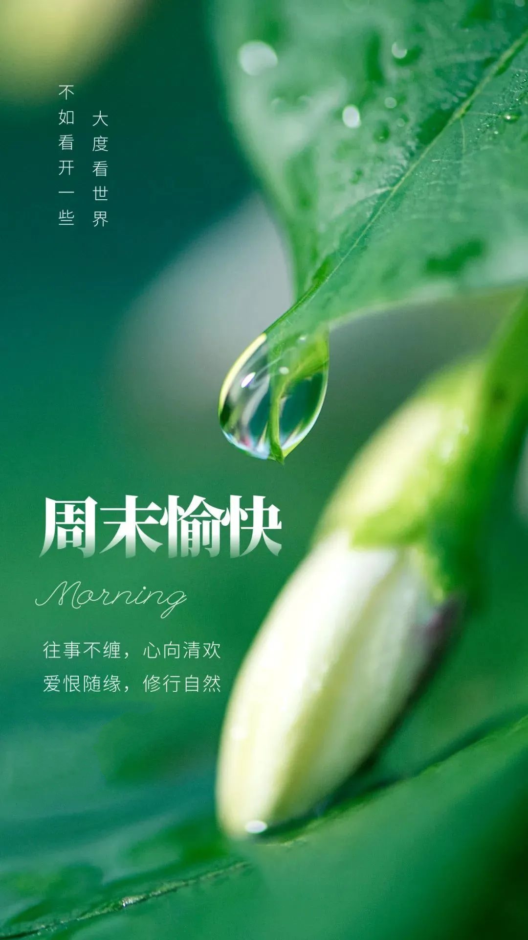 新的一周早安正能量句子图文,早安语录大全图文