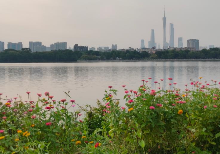 广州海珠湖湿地公园,广州海珠湖图片