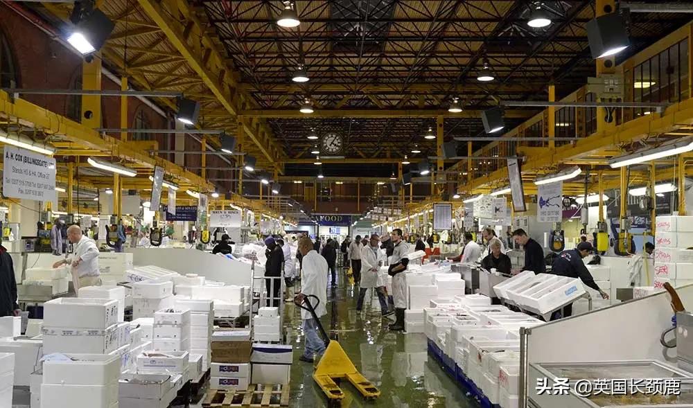 在伦敦哪里买新鲜的海鲜,伦敦海鲜市场买什么海鲜