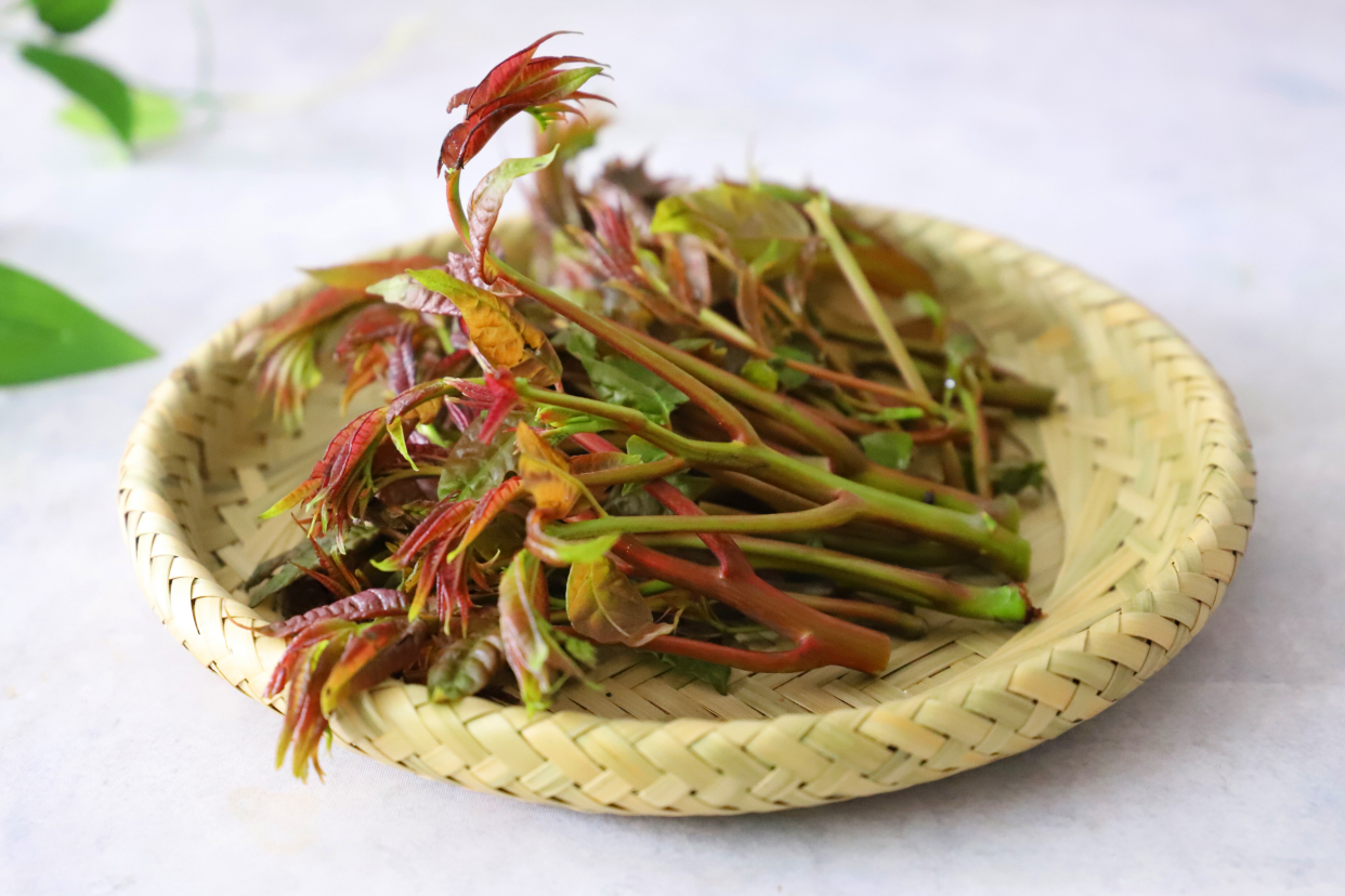养阳吃什么食物最好,夏季养阳的食物有哪些