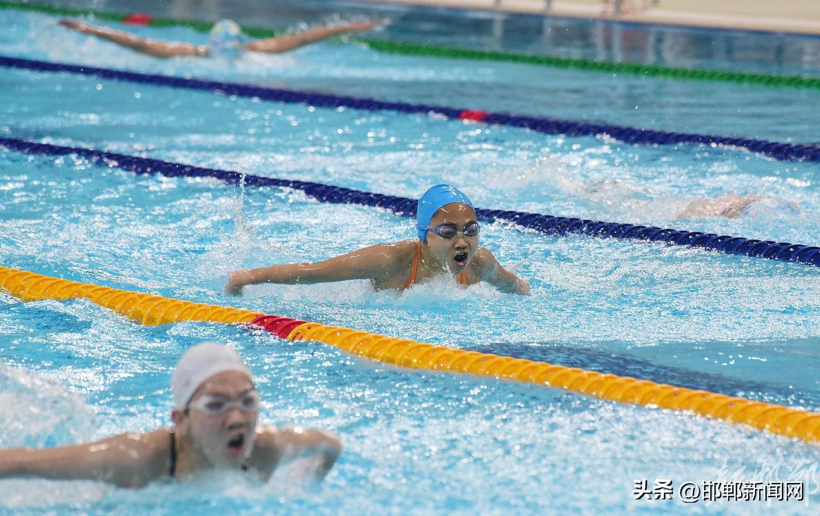 浩沙杯游泳比赛河北省,全国青少年游泳u系列比赛石家庄