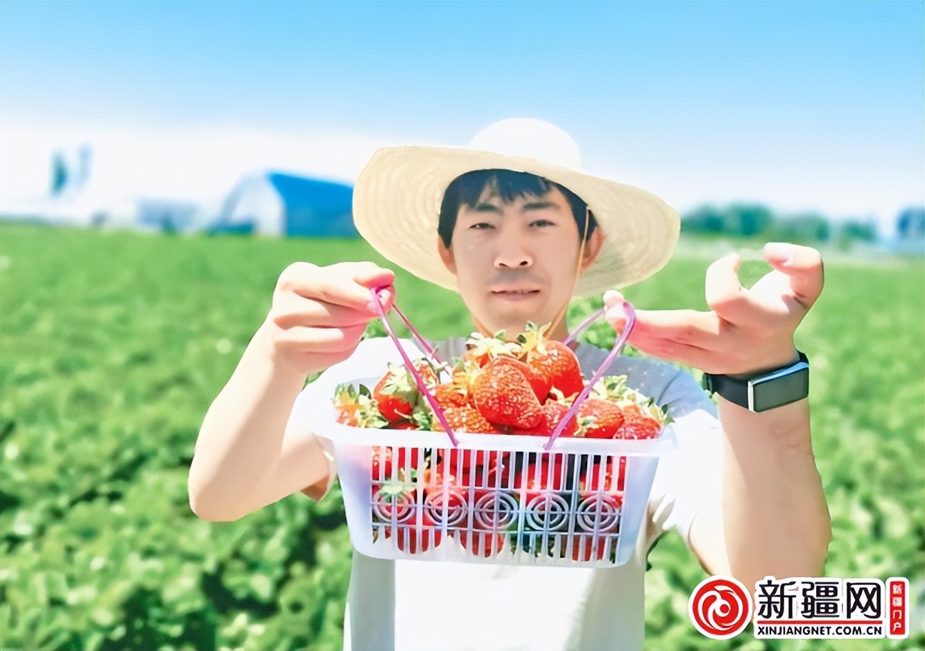 农业大学乡村振兴,新疆农业大学学习新思想