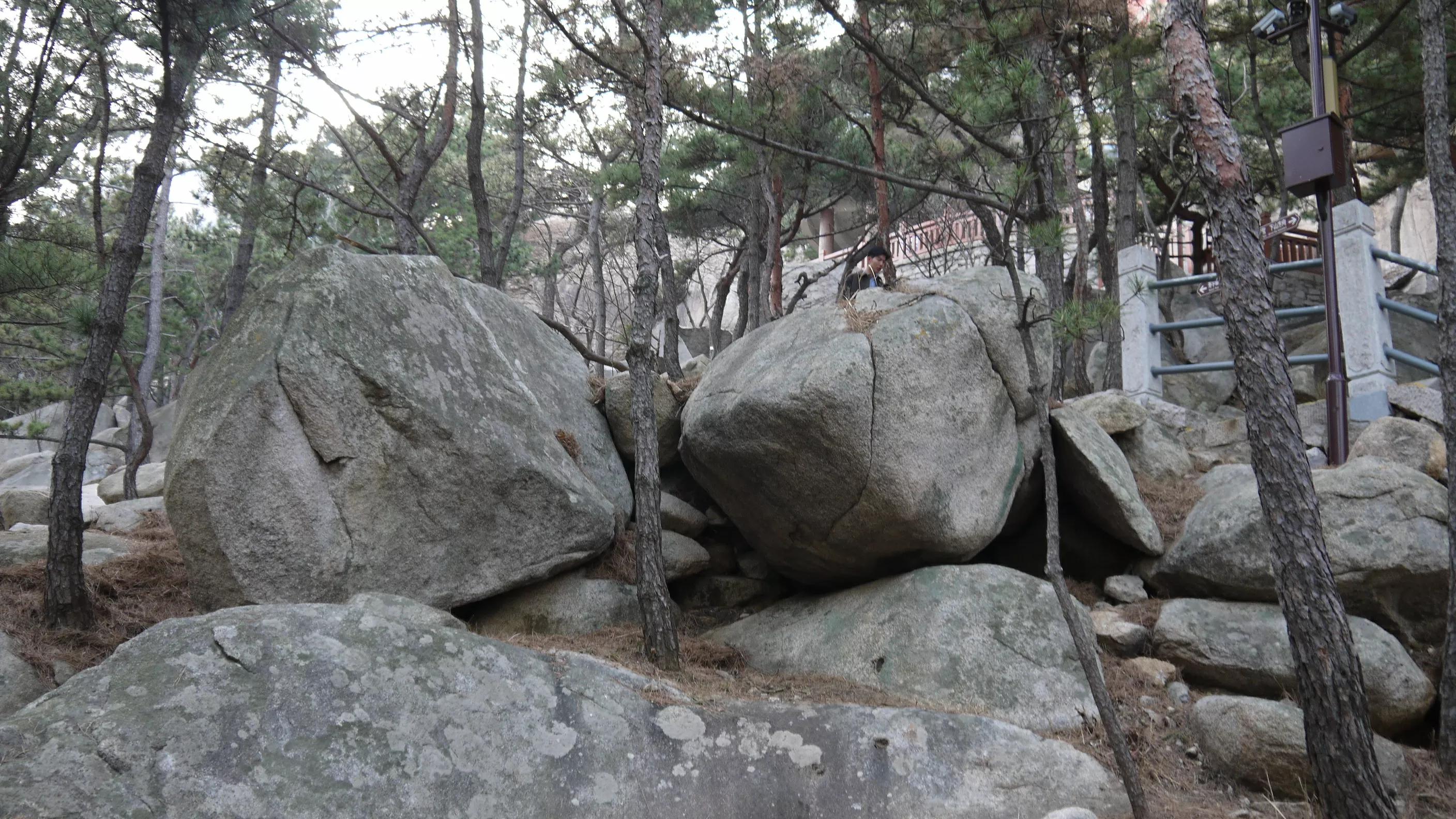 闈掑矝宕傚北浠板彛绱㈤亾,闈掑矝宕傚北浠板彛璧舵捣