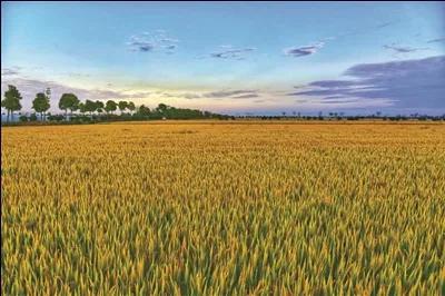 古人言“家中要想富，屋里放四物”指的是哪四物？有无道理？