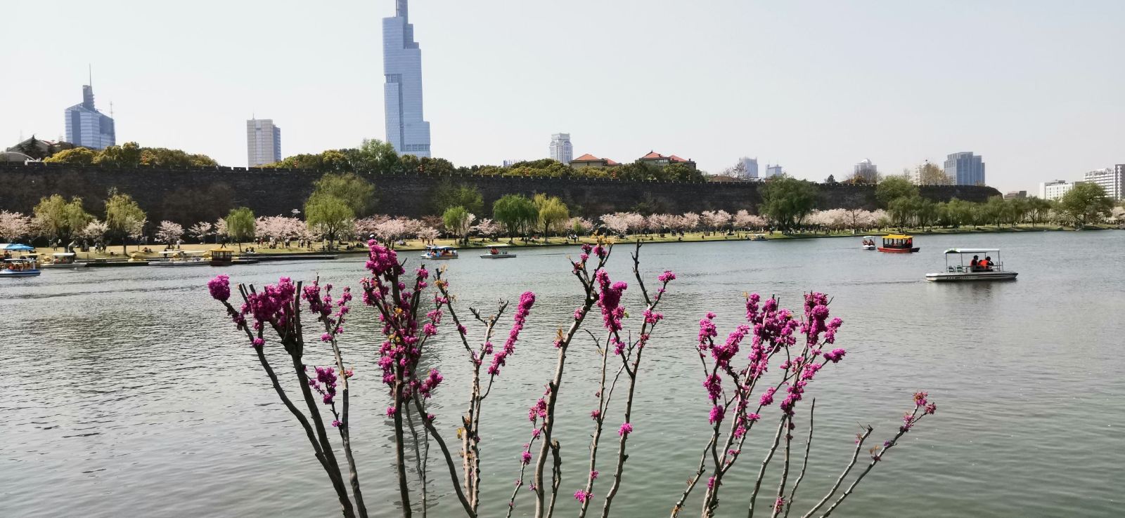 江南三大名湖玄武湖,南京玄武湖和杭州西湖人文景观