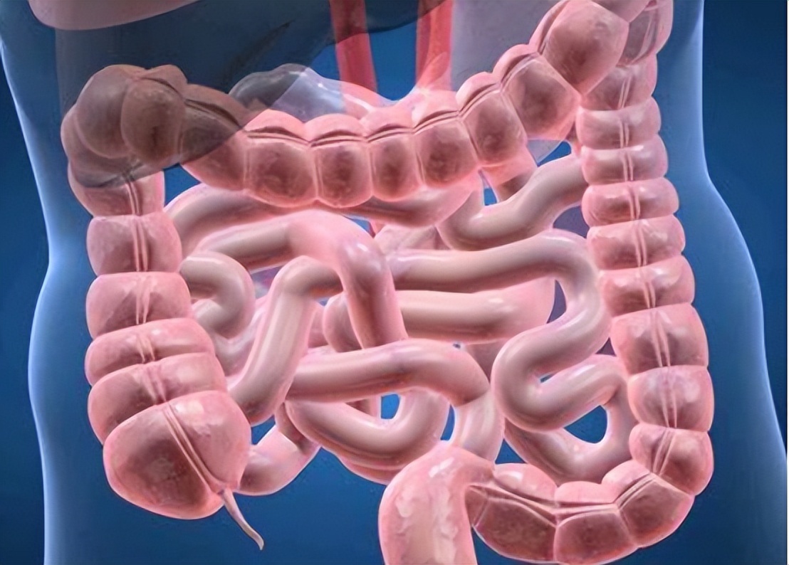 鱿鱼有毒是真的吗,油鱼对身体的危害