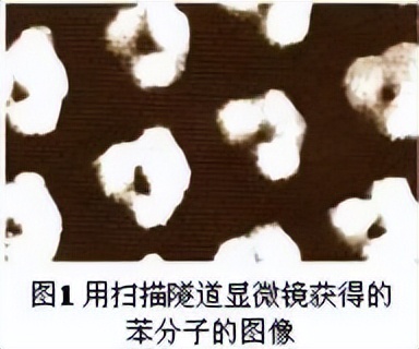 科学知识大全小学生必背,科学知识大全全集