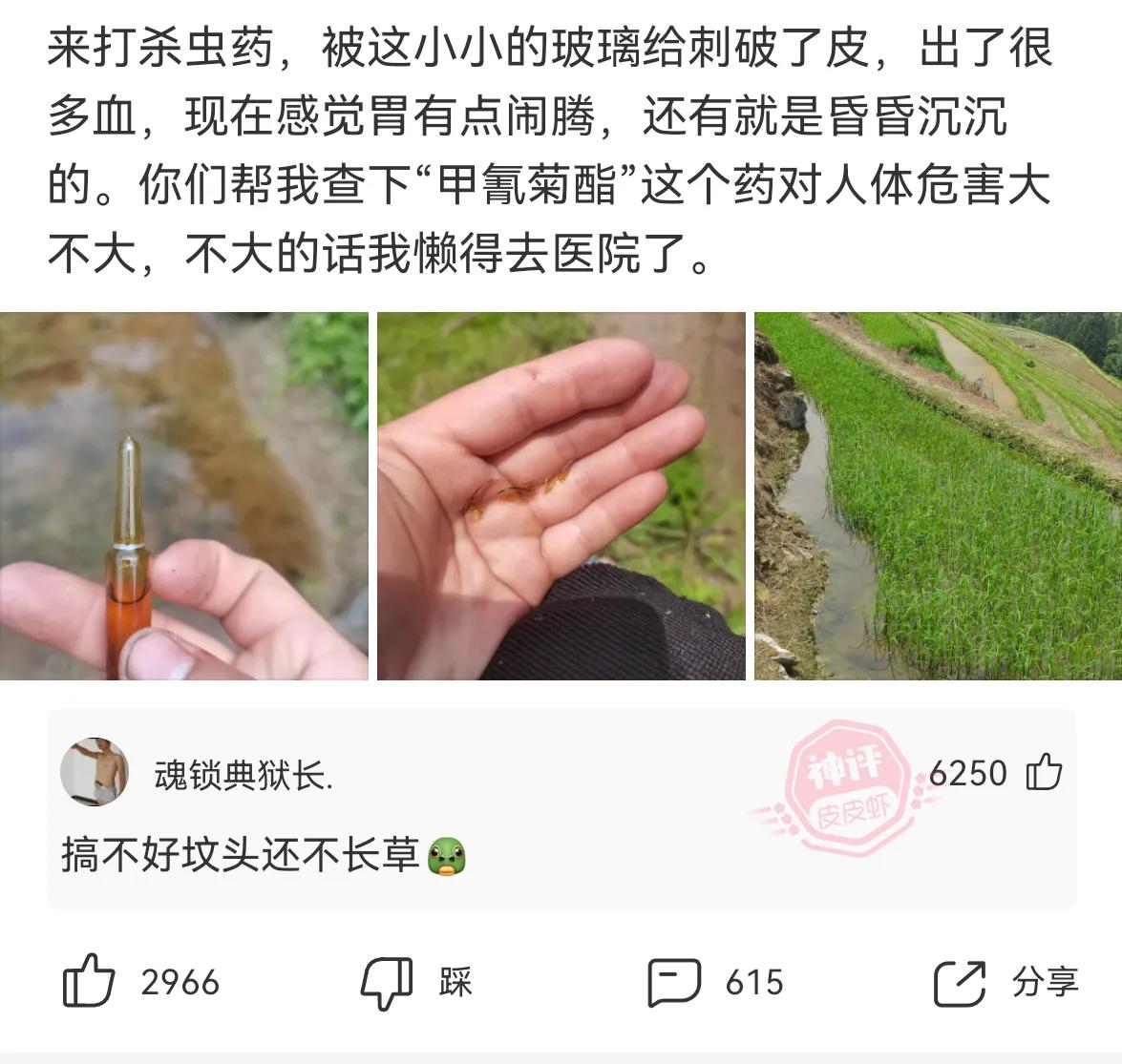 神回复男子,神回复唐僧