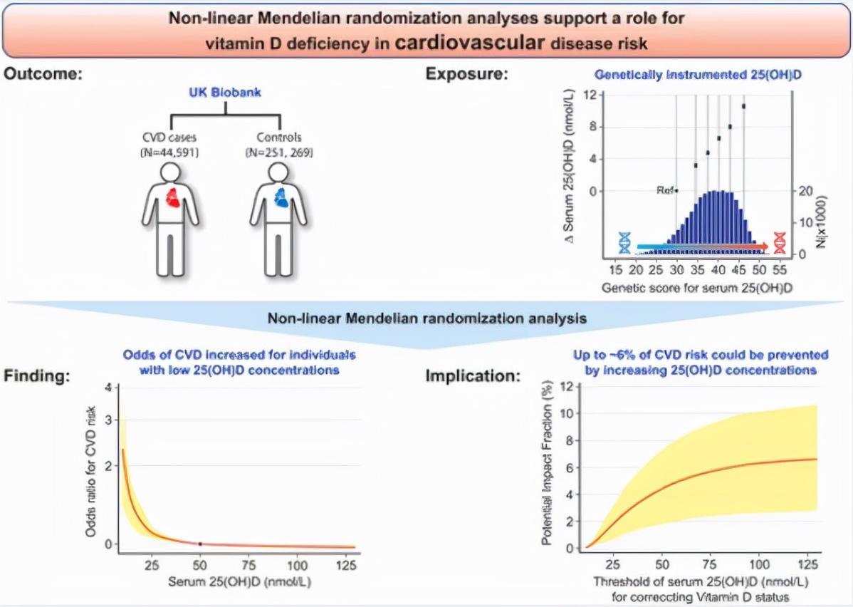 缺乏维生素d导致心悸,缺乏维生素d会引起高血压吗