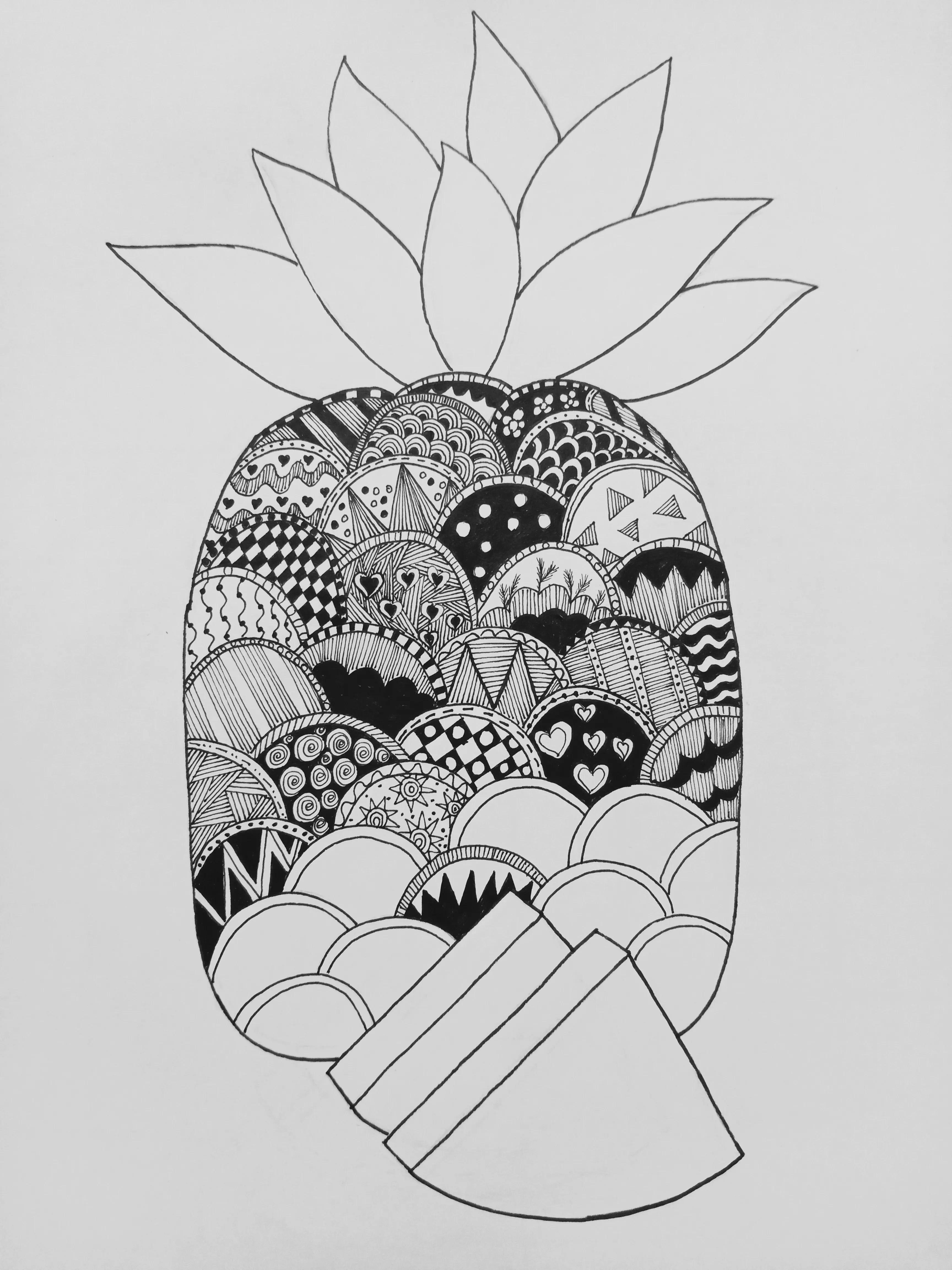 线描画菠萝画法简单,菠萝线描画简单好看易画作品