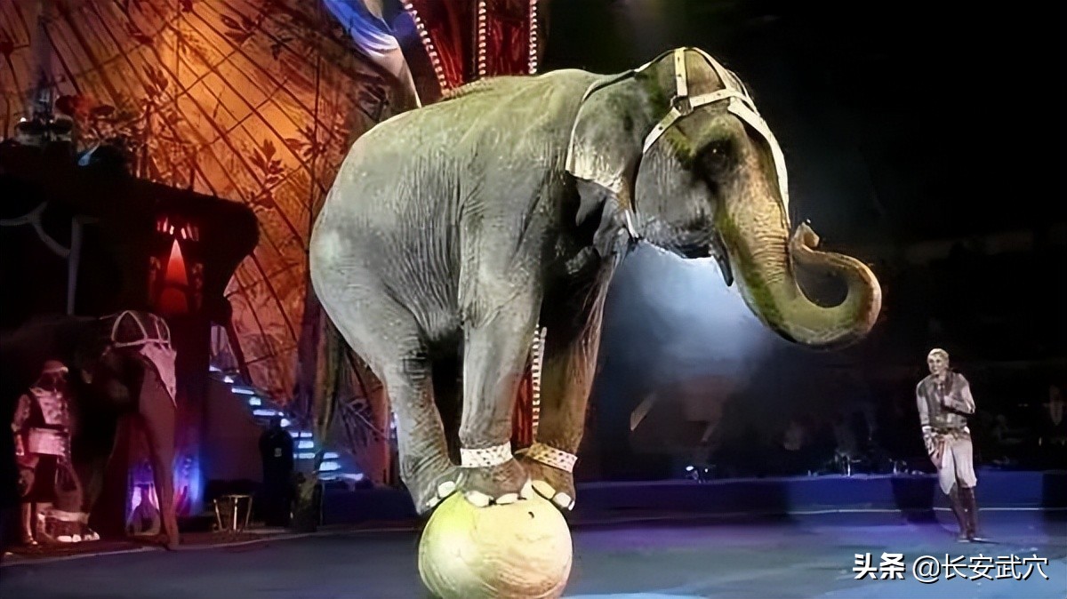 全网最近大事件,最大丑闻案件