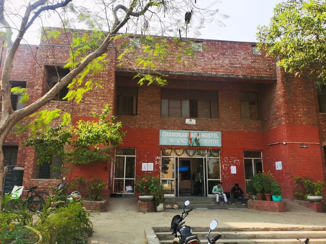 去印度留学学什么专业,去印度留学学it