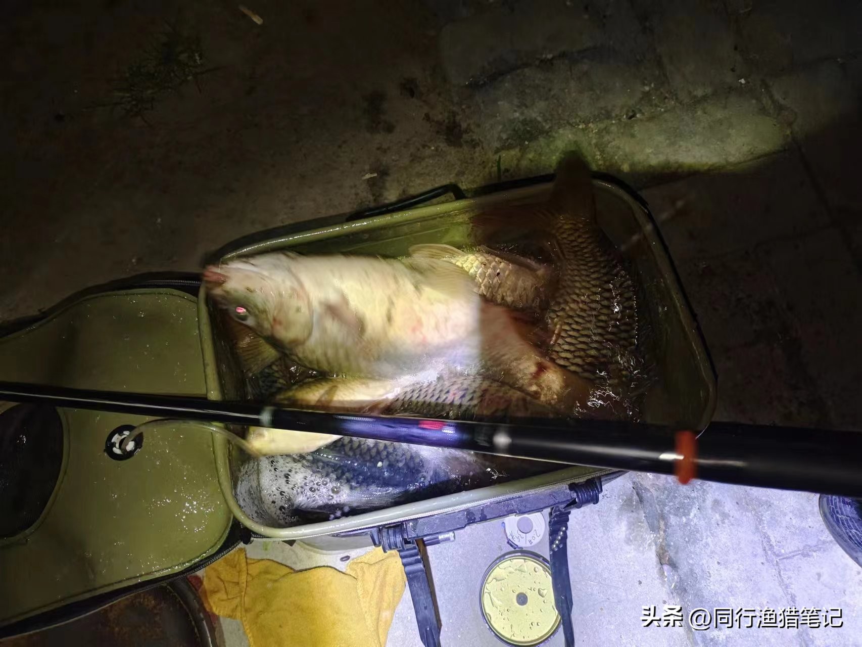 渔具店能换两节竿吗,渔具店补货每天都要订货