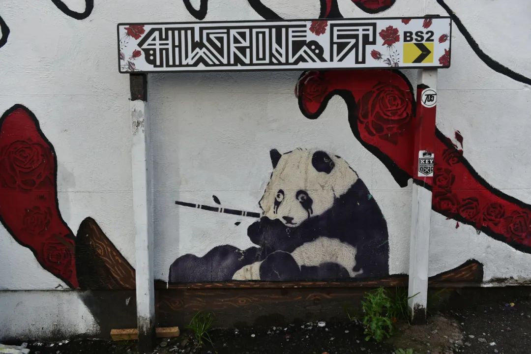 布村怎么样,布村是什么