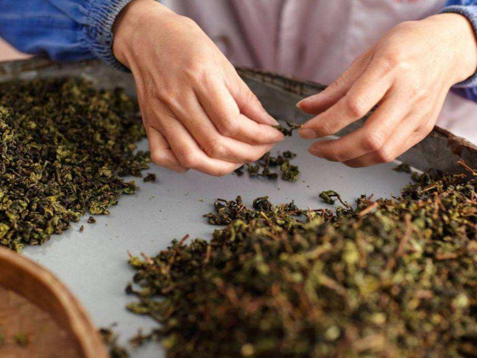 铁观音500元一斤贵吗,2000块一斤的铁观音