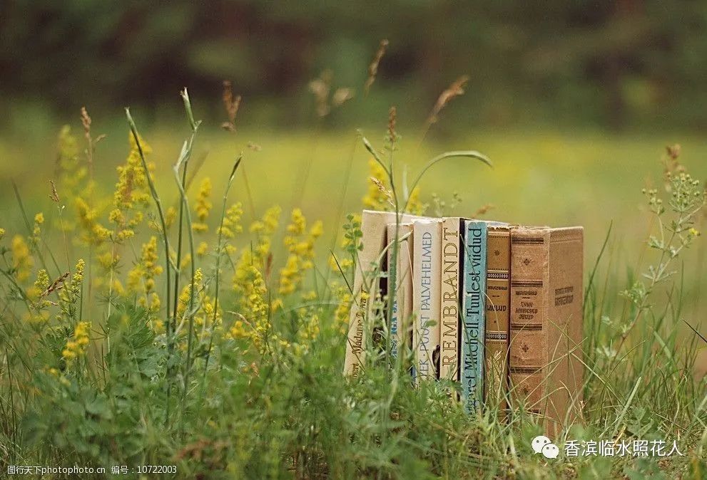 奋斗成就梦想作文议论文,奋斗成就梦想劳动创造幸福作文