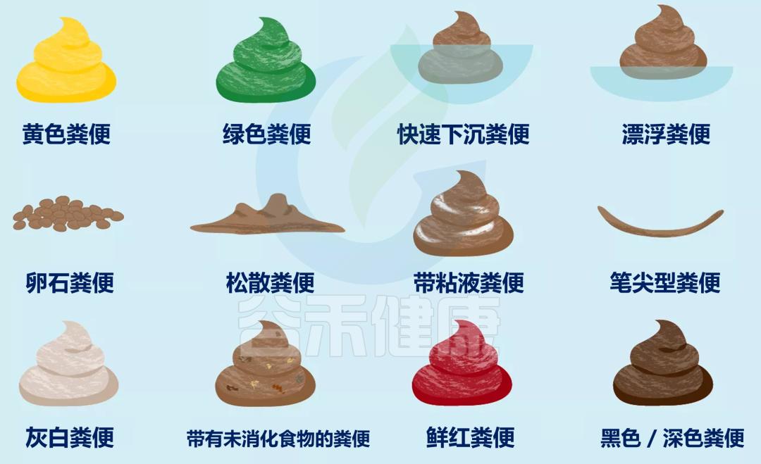 先别冲！原来你是这样的——“便便”