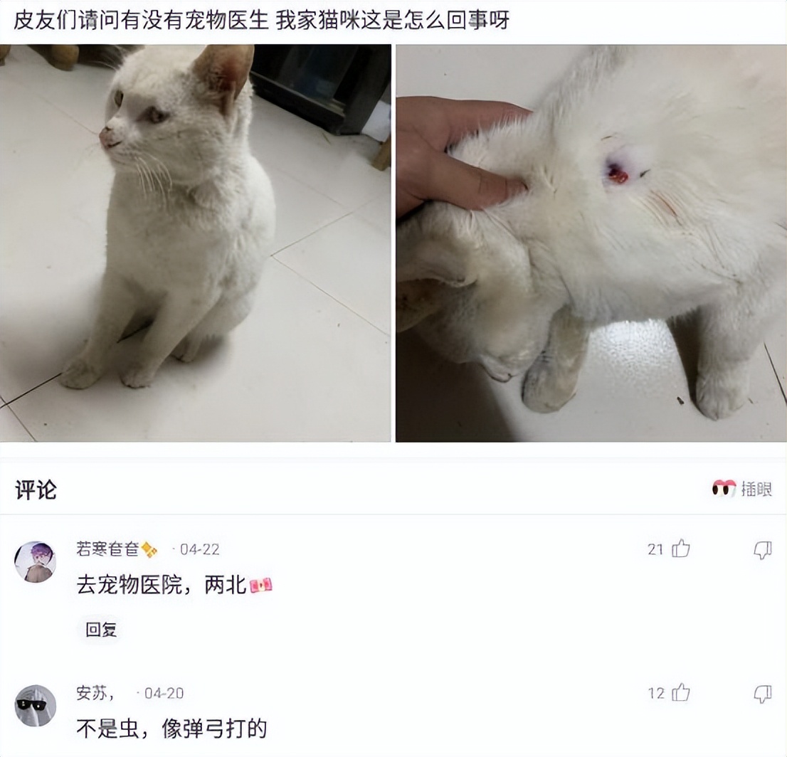 “这真的是林志玲吗？我怎么看着越来越像日本贵妇了？”哈哈哈