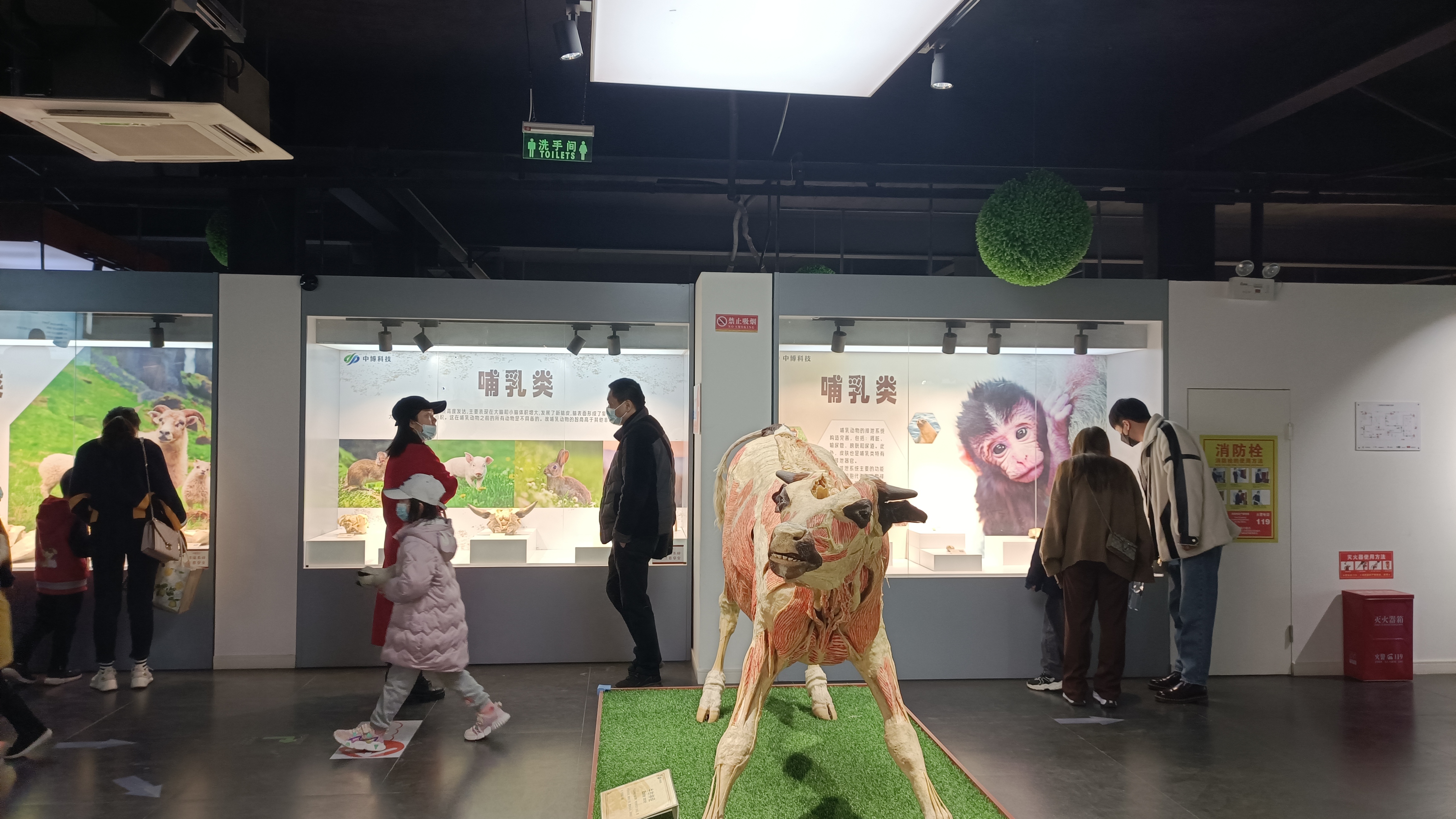 郑州周边适合带孩子一日游的地方,郑州游玩好去处一日游孩子