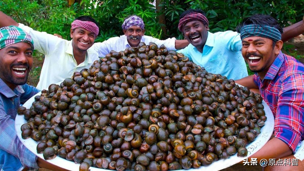 印度泛滥成灾的七大动物，自己不敢吃，想让中国当接盘侠