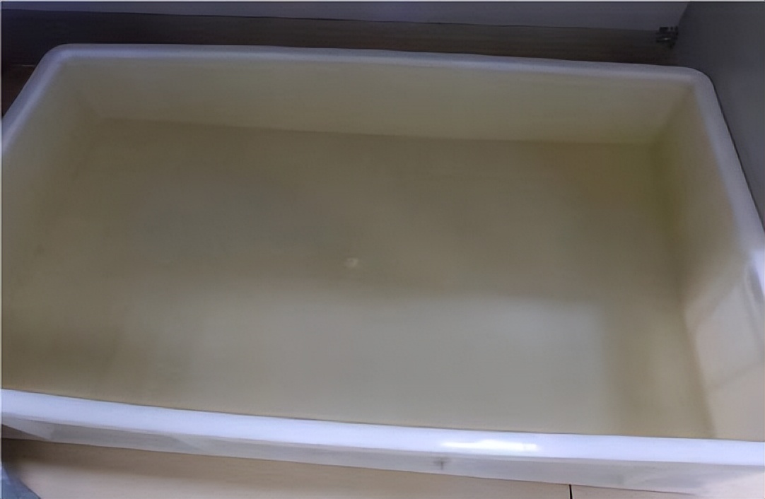 鱼友分享这些养鱼经验句句在理,鱼友种植水草缸心得赶紧收藏吧