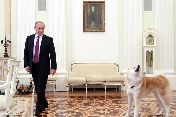 迷人小老头普京：当特工时接头都要迟到，曾牵着狗会见日本代表