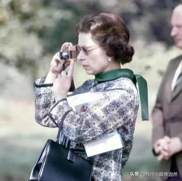 澳白素钉出圈了，明星和熊出没电影都有大白