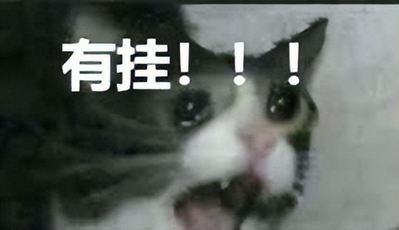 没想到彩虹六号的新型外挂，竟然暗藏玄“鸡”