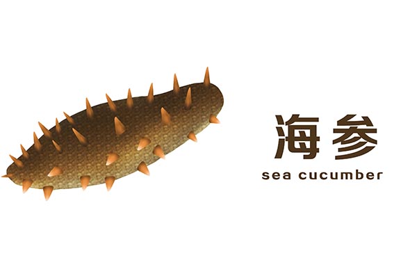 长期吃海参对身体有什么好处,经常吃海参对身体有什么好