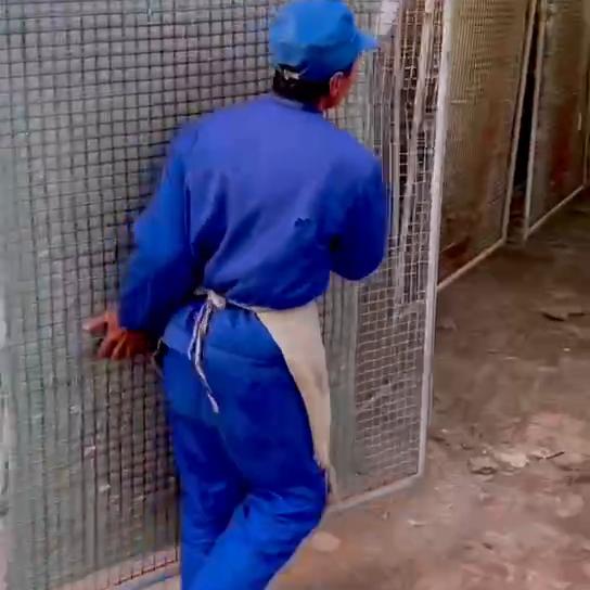 羊毛被能水洗吗,羊毛被跑毛怎么办