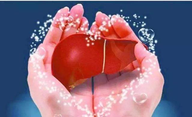 鸡内金吃了后会有什么反应,鸡内金经常喝有什么危害