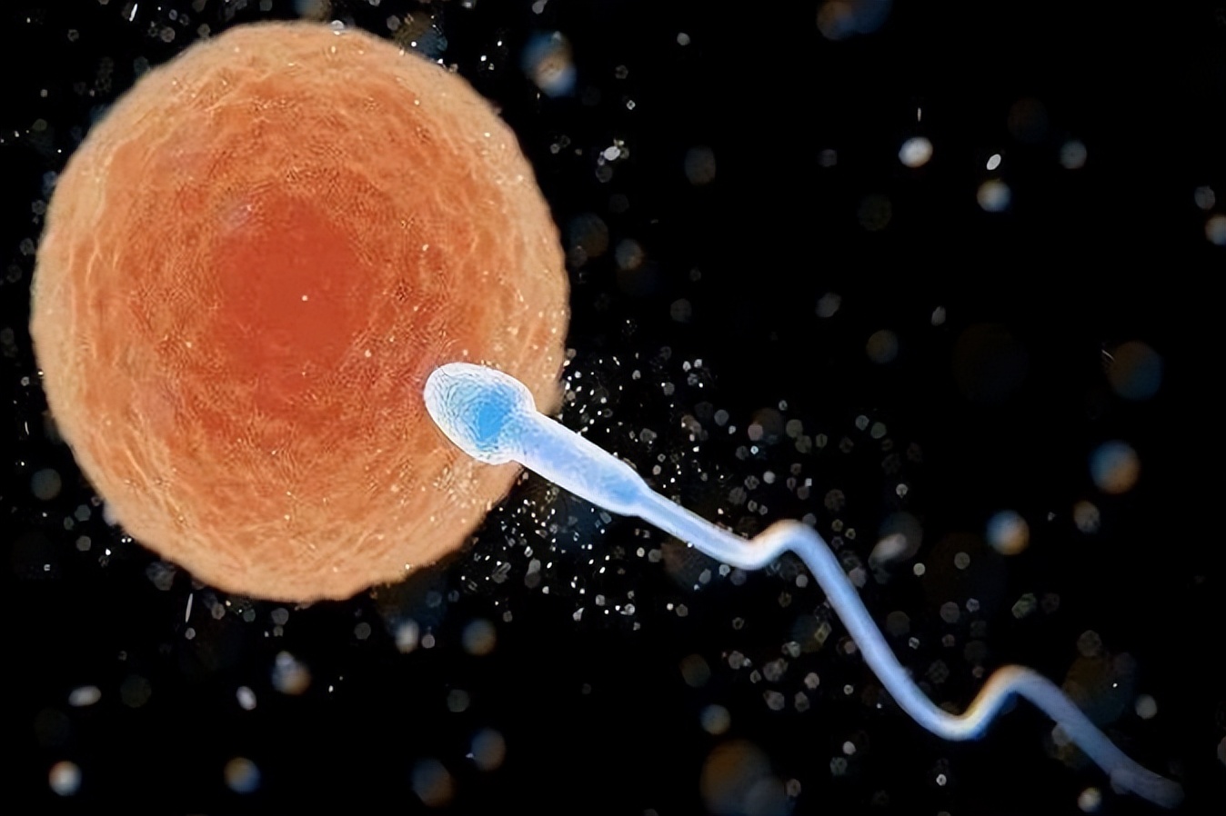 日本人兽杂交实验被允许，这是否违背伦理常纲？是创新还是灾难？