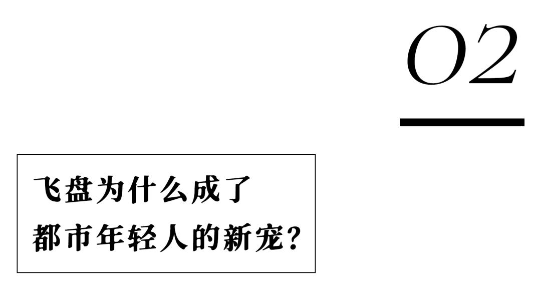 上海玩宠物,上海玩狗户外