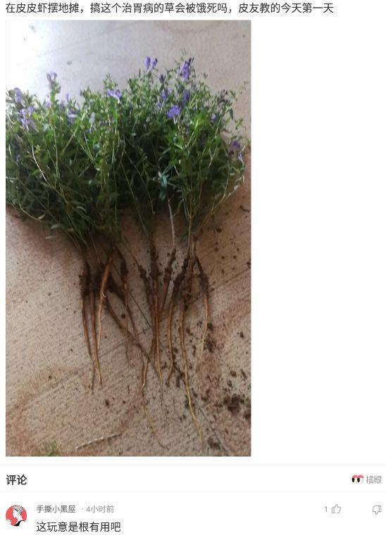 感冒了向女老板请假，原本想发老大，我难受，结果手误发错了