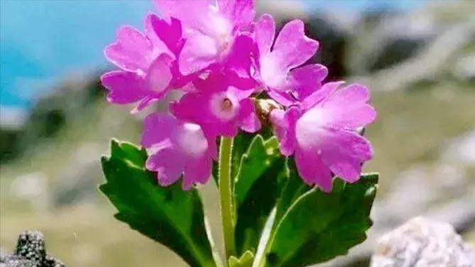 面对困难迎难而上的励志句子,人生当中最艰难的时候