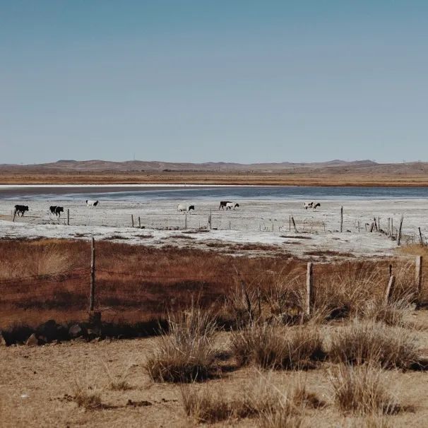 在川西Bushcraft是种什么体验？
