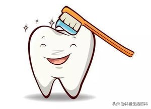 如何正确的刷牙,如何才能正确刷牙